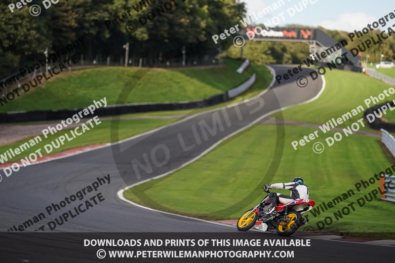 anglesey;brands hatch;cadwell park;croft;donington park;enduro digital images;event digital images;eventdigitalimages;mallory;no limits;oulton park;peter wileman photography;racing digital images;silverstone;snetterton;trackday digital images;trackday photos;vmcc banbury run;welsh 2 day enduro